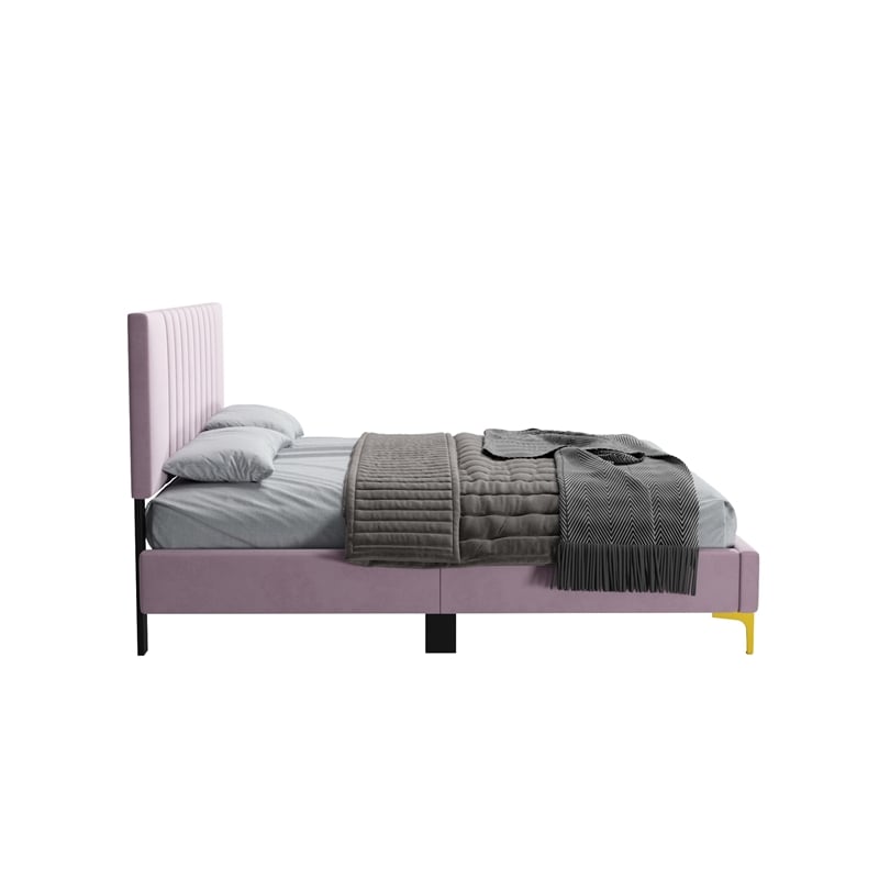 Dean Upholstered Velvet Queen Size Bed in Pink with Gold Metal Legs