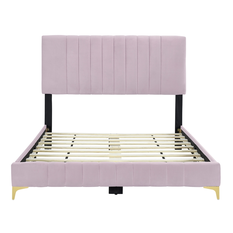 Dean Upholstered Velvet Queen Size Bed in Pink with Gold Metal Legs