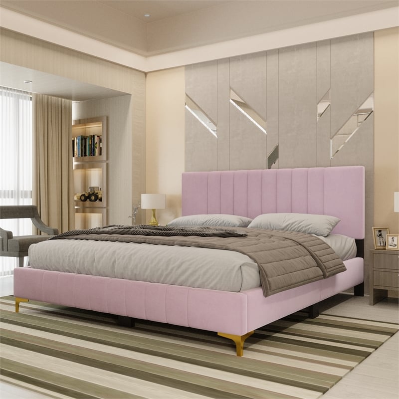 Dean Upholstered Velvet Queen Size Bed in Pink with Gold Metal Legs