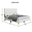 Dean Upholstered Velvet Queen Size Bed in Cream with Gold Metal Legs
