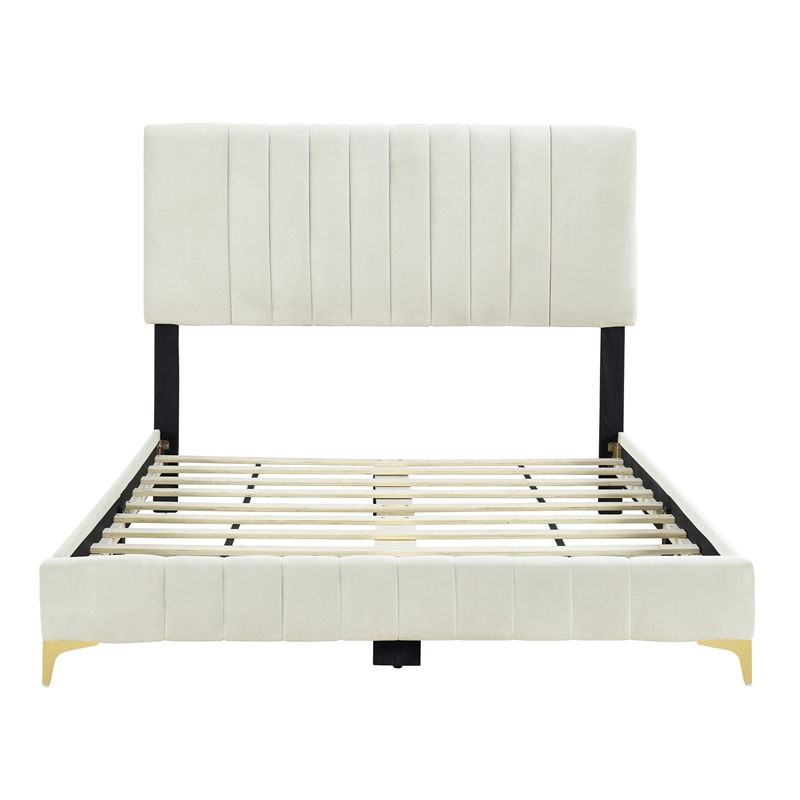 Dean Upholstered Velvet Queen Size Bed in Cream with Gold Metal Legs