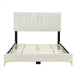 Dean Upholstered Velvet Queen Size Bed in Cream with Gold Metal Legs
