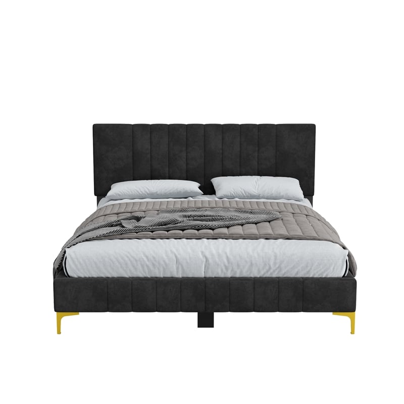 Dean Upholstered Velvet Full Size Bed in Black with Gold Metal Legs