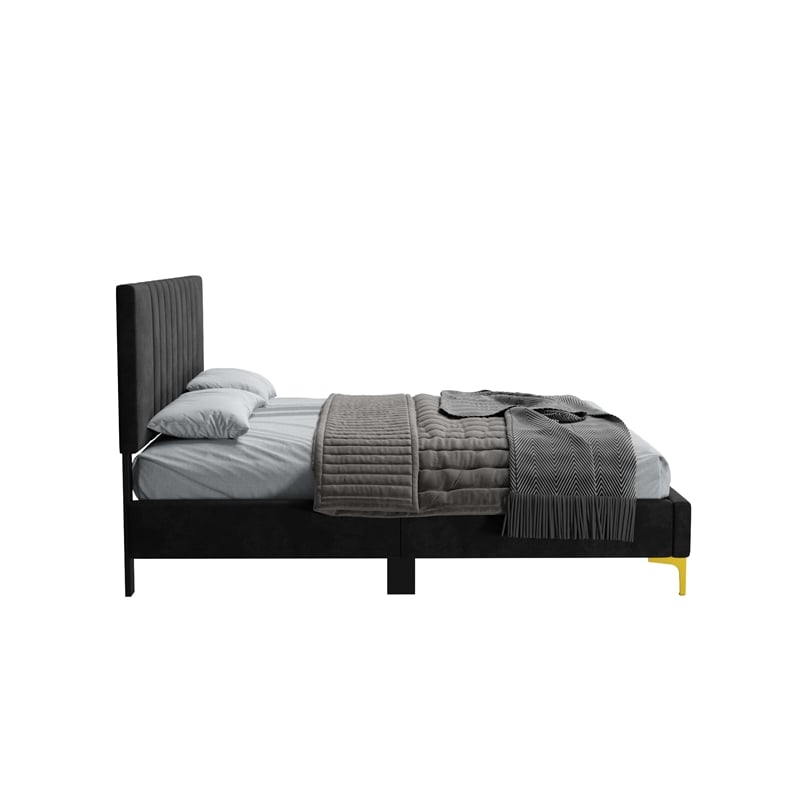 Dean Upholstered Velvet Full Size Bed in Black with Gold Metal Legs