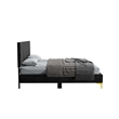 Dean Upholstered Velvet Full Size Bed in Black with Gold Metal Legs