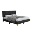 Dean Upholstered Velvet Full Size Bed in Black with Gold Metal Legs