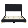 Dean Upholstered Velvet Full Size Bed in Black with Gold Metal Legs