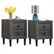 Costway MDF and Rubber Wood Nightstands with 2 Drawers in Gray (Set of 2)