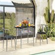 Costway 3-piece MDF and Iron Dining Set with Table and 2 Chairs in Silver/Black