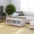 Costway Solid Wood Lift Top Coffee Table with Storage Shelves in White