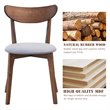 Costway Rubber Wood & Sponge Dining Chair with Curved Back in Walnut (Set of 2)