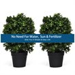 Costway PP and PE Artificial Boxwood Topiary Ball Tree in Green (Set of 2)