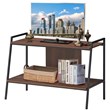 Costway 2-Tier Wood TV Stand/Entertainment Center for TV's up to 40'' in Walnut