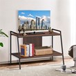 Costway 2-Tier Wood TV Stand/Entertainment Center for TV's up to 40'' in Walnut