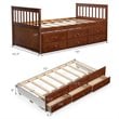 Costway Pine Wood Twin Captain's Bunk Bed with Trundle & Drawers in Walnut
