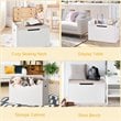 Costway Wooden Toy Box Kids Storage Chest Lift Top Bench in White