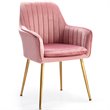 Costway Velvet Mid-Back Leisure Armchair with Gold Leg in Pink (Set of 2)