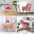 Costway Velvet Mid-Back Leisure Armchair with Gold Leg in Pink (Set of 2)
