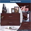 Costway 2-Drawer End Table Nightstand Dresser Organizer with Handle in Brown
