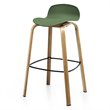 Costway PP and Iron Counter Height Bar Stools with Footrest in Green (Set of 2)