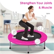 38'' Rebounder Trampoline Adults and Kids Exercise Workout w/Padding Pink Metal