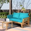 Patio Convertible Sofa Daybed Solid Wood Adjustable Furniture Turquoise