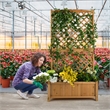 Tall Raised Garden Bed Wooden Planter w/ Trellis for Flower Climbing Orange