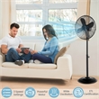 16inch Standing Pedestal Fan with 3 Speed Settings Carrying Handle Black Black