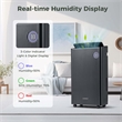 19 Pint(DOE) 4500 Sq.ft Dehumidifier for Basement with 4 Modes 3 Color Black
