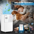 9 Pint(DOE) Dehumidifier 2000 Sq.ft Coverage Area White