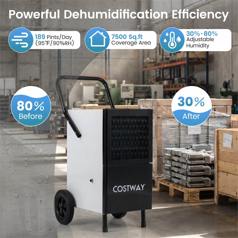 42 Pint(DOE) Dehumidifier with Built in Pump Drain Hose White