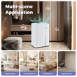 35 Pint(DOE) Dehumidifier for Home 8000 Sq.Ft Dehumidifier White