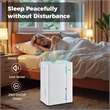 35 Pint(DOE) Dehumidifier for Home 8000 Sq.Ft Dehumidifier White