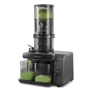 Cold Press Juicer Machine Professional Slow Masticating Juicer with Reverse Button Gray Plastic
