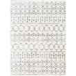 Livabliss Aliyah Shag ALH-2302 94 x 120
