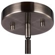 Woodbridge Lighting Drake Mid Pendant with ST64 Bulb in Antique Nickel/Black