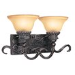 Woodbridge Lighting Rosedale 2-light Glass Bathroom Light in Tortoise/Bronze