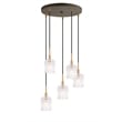Woodbridge Lighting Candice 5-Light Glass Cluster Pendant in Swizzle/Brass