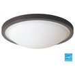 Woodbridge Lighting Cosmo 2-Light Glass Flush-Mount in Bronze (Set of 4)
