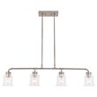 Woodbridge Lighting Elliot 4-Light Metal Linear Pendant in Antique Nickel