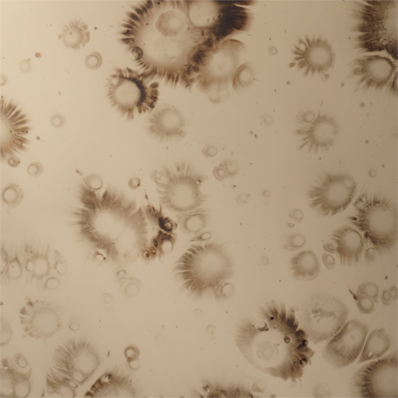 Jamie Young Co Chambord Antiqued Glass Round Wall Mirror Small in Antique Brass