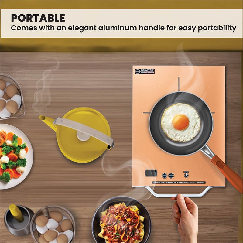 Equator 11inch Portable Single-Burner Induction Cooktop - with Handle in Black
