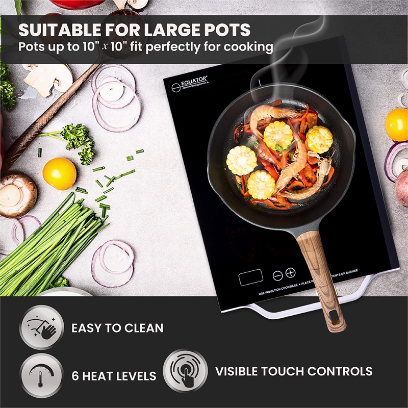 Equator 11inch Portable Single-Burner Induction Cooktop - with Handle in Black