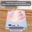 Equator 11inch Portable Single-Burner Induction Cooktop - with Handle in Silver