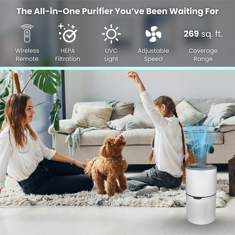 Equator 4.6lbs air purifier and air sterilizer/quiet standing with smoke removal