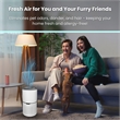 Equator 4.6lbs air purifier and air sterilizer/quiet standing with smoke removal