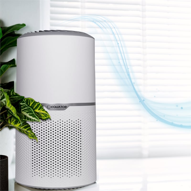 Equator 4.6lbs air purifier and air sterilizer/quiet standing with smoke removal