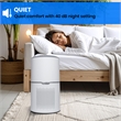 Equator 4.6lbs air purifier and air sterilizer/quiet standing with smoke removal