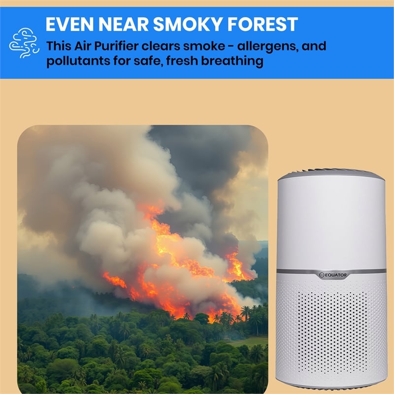 Equator 4.6lbs air purifier and air sterilizer/quiet standing with smoke removal