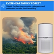 Equator 4.6lbs air purifier and air sterilizer/quiet standing with smoke removal